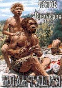 Обложка книги Плантация