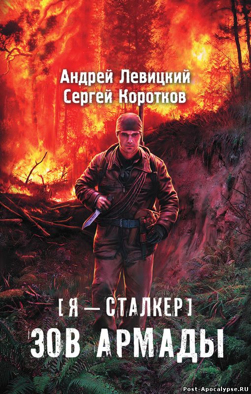 Обложка книги Я - сталкер. Зов Армады